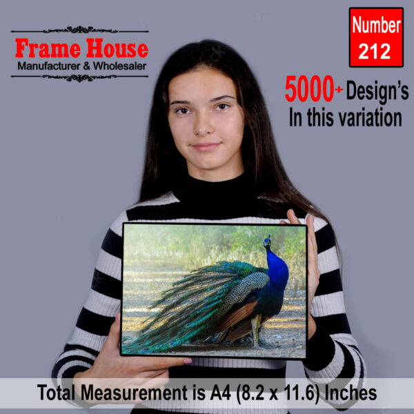 Peacock Wall Art Photo Frame