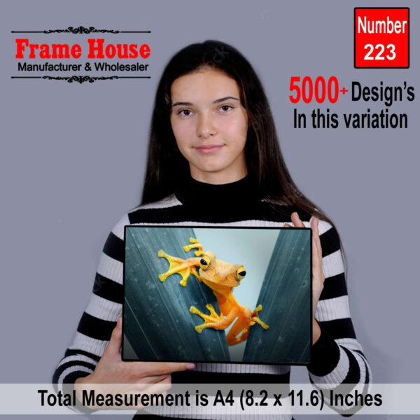 Frog Wall Art Photo Frame