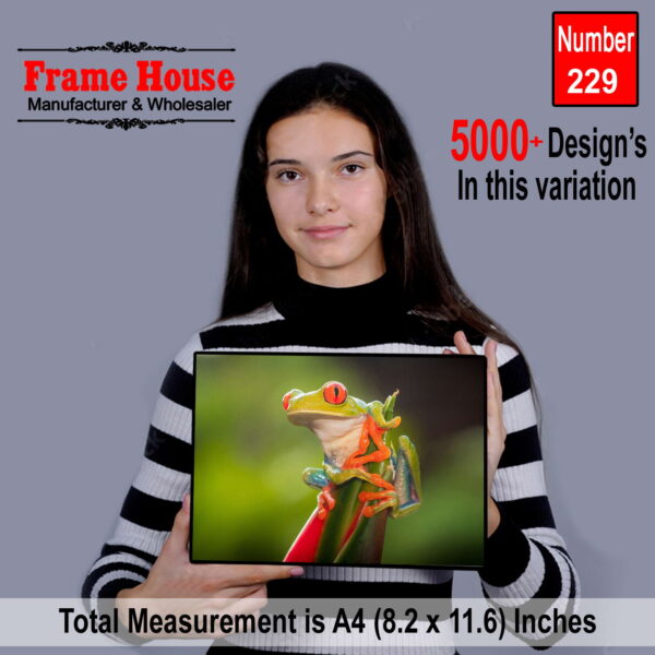 Frog Wall Art Photo Frame