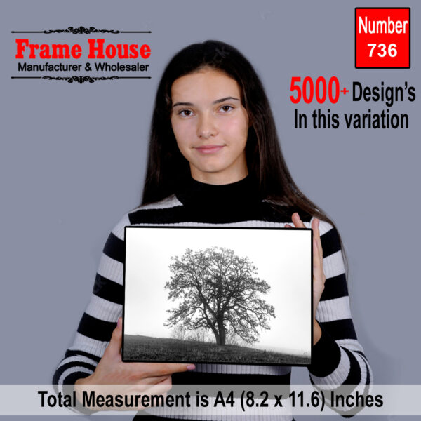 Beautiful Sindries Photo Frame