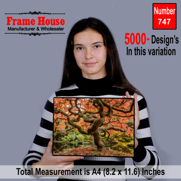 Beautiful Sindries Photo Frame