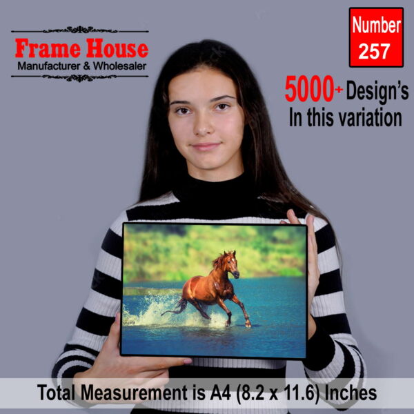 Horse Running Photo Frame