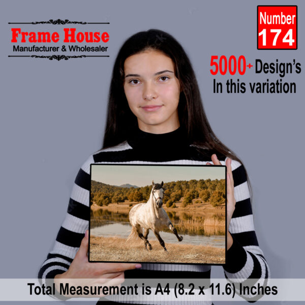 Horse Running Photo Frame