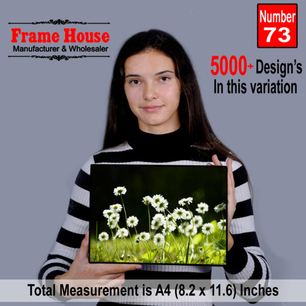 Beautiful Flowers Photo Frame